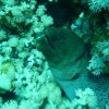 marsa2009 177